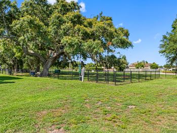 Dog park